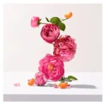 ROGER & GALLET Rose Wellbeing Fragrant Water 30ML - Image 3