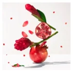 ROGER & GALLET Gingembre Rouge Wellbeing Fragrant Water 30ML - Image 4