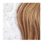 PHYTO Douceur Softness Shampoo Σαμπουάν για Απαλά Μαλλιά Eco Refill 750ML - Image 2