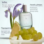 CAUDALIE Eau des Vignes Fraiche Fragrance-Γυναικείο Άρωμα 50ML - Image 2
